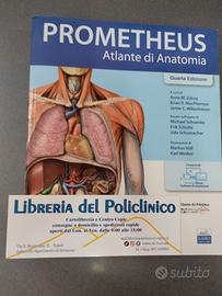PROMETHEUS - ATLANTE DI ANATOMIA 4 ES.
