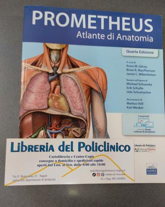 PROMETHEUS - ATLANTE DI ANATOMIA 4 ES.