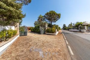 Villa Indipendente con Ampio Terreno