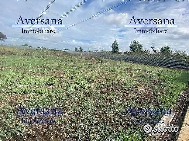 Terreno agricolo fronte strada recintato - Vista 5