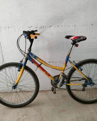 Mountain-bike 
