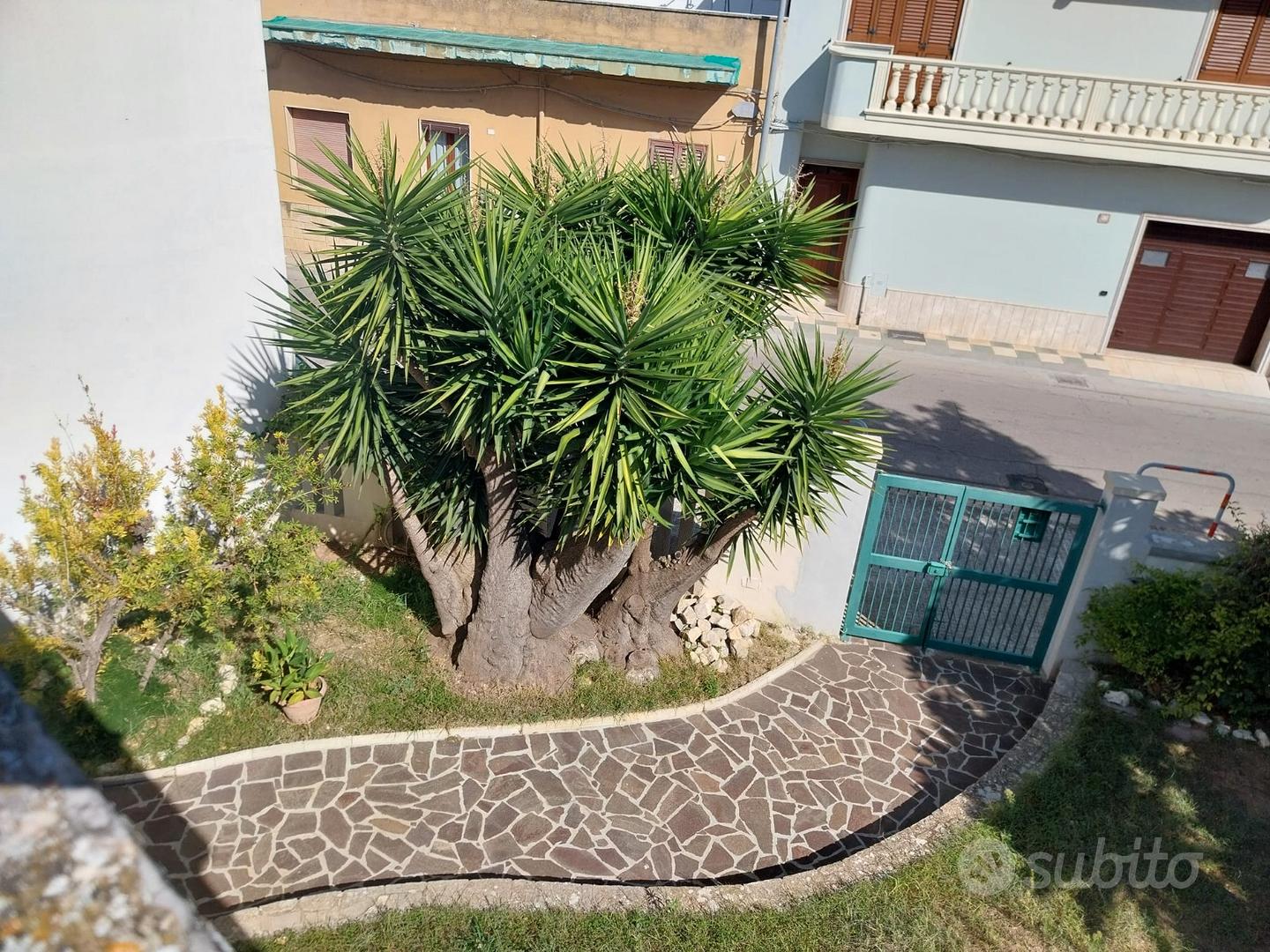 Casa – San Pietro Vernotico, Brindisi - Altro
