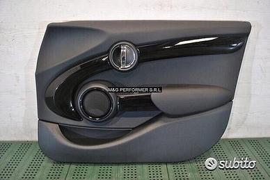 MINI F55 Pannello porta anteriore dx | 14248