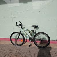 Bicicletta Molinari MTB