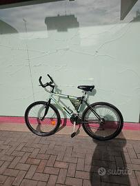 Bicicletta Molinari MTB