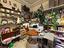 Immagine 12
