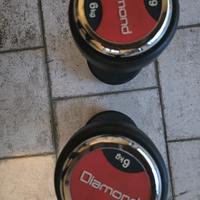 Diamond manubri 6 kg