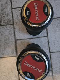 Diamond manubri 6 kg