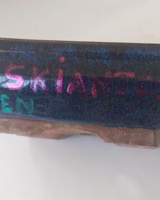 Vaso per bonsai skiantos zen