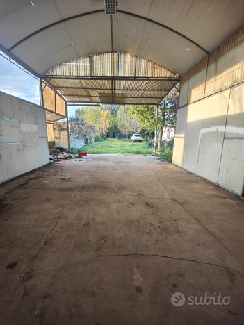 Terreno agricolo con prefabbricato e capannone