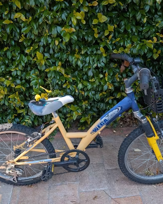 Bicicletta bambino taglia 20