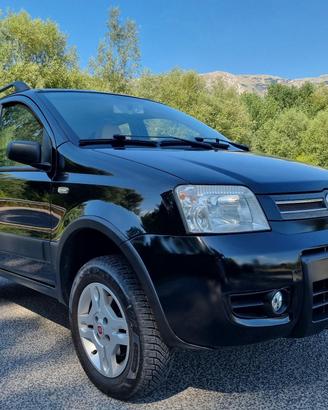 Fiat Panda 4X4 Climbing 169 1.3 Multijet 16v 69cv