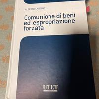 Comunione di beni ed espropriazione forzata