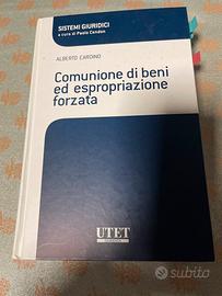 Comunione di beni ed espropriazione forzata