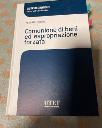 Comunione di beni ed espropriazione forzata