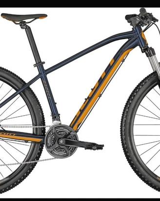 Scott aspect 29 