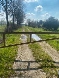 Terreno Agricolo su SP42 Pessano con Bornago