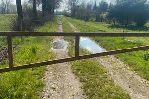 Terreno Agricolo su SP42 Pessano con Bornago
