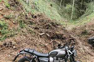 Triumph Street Twin 900