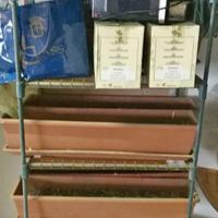 Serra con vasi porta fiori come da foto