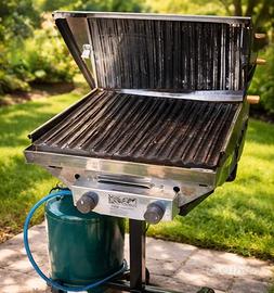 Barbecue I.G.F. con pietra lavica a gas in acciaio