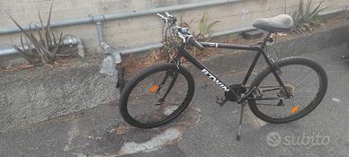 Mountain bike misura 26