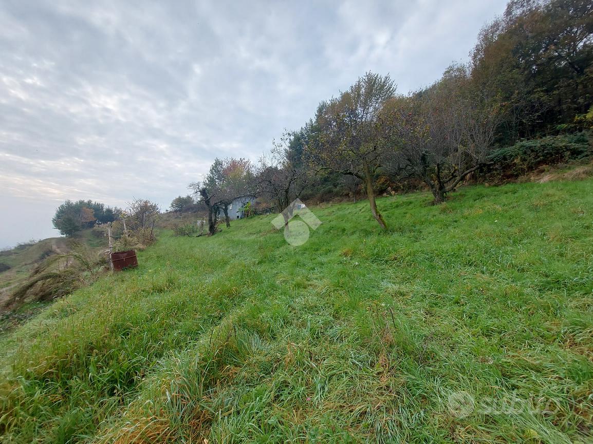 TER. AGRICOLO A CUMIANA - Vista 2