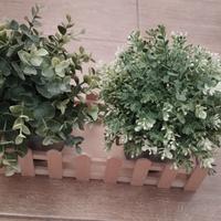 PIANTINE ARTIFICIALI