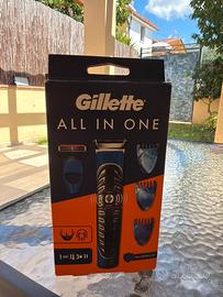 Gillette All In One