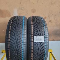 Gomme invernale usate 225/55 19 99V