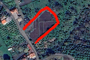 Terra Aci Sant'Antonio