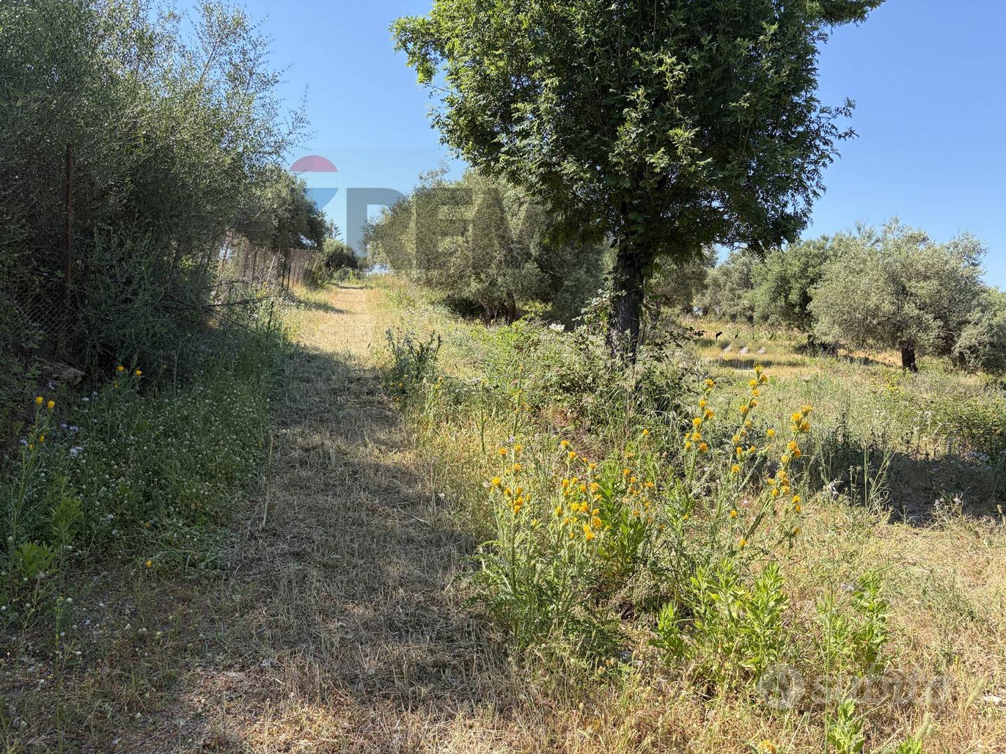 Terreno Edificabile - Trabia - Vista 3
