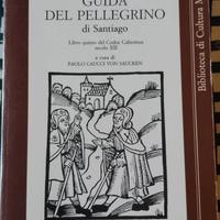 Guida al pellegrinaggio di Santiago.