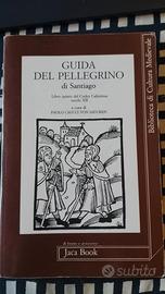 Guida al pellegrinaggio di Santiago.