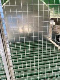 Gabbia per conigli con ruote