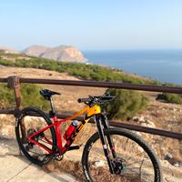 Mtb Trek solo Telaio Kit