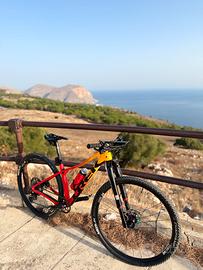 Mtb Trek solo Telaio Kit