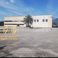 Capannone industriale 1400 mq S.Salvatore Telesino