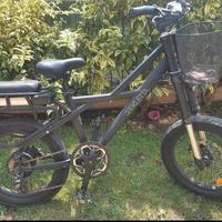 Bicicletta elettrica ecletta 