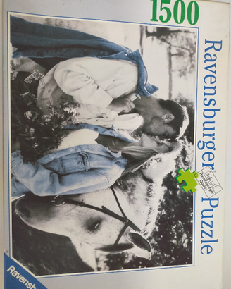 Puzzle poster cavallo
