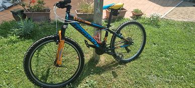 Torpado Viper 24 pollici