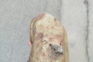 serbatoio vespa epoca 