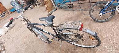 Bici Carnielli