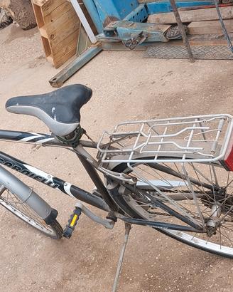 Bici Carnielli