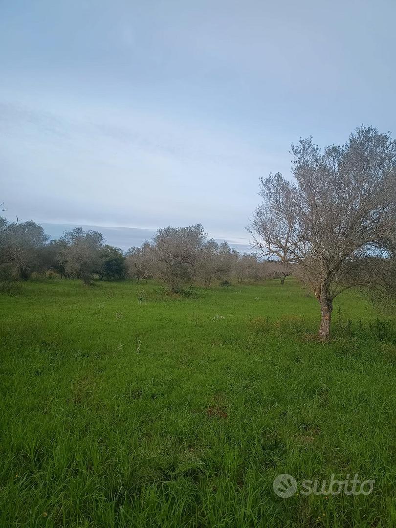 Terreno edificabile 1 ha - Vista 3