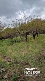 Ragalna - terreno su strada id: ra135t