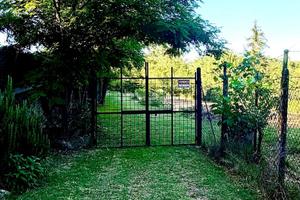 Terreno 4400 MQ Con Pozzo