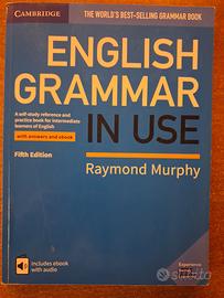 ENGLISH GRAMMAR IN USE
