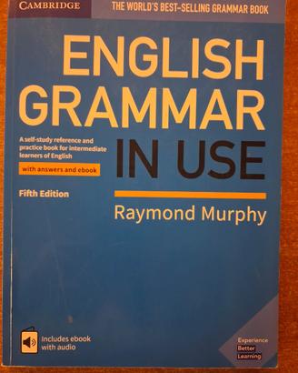 ENGLISH GRAMMAR IN USE