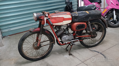 Cimatti Supersport 50